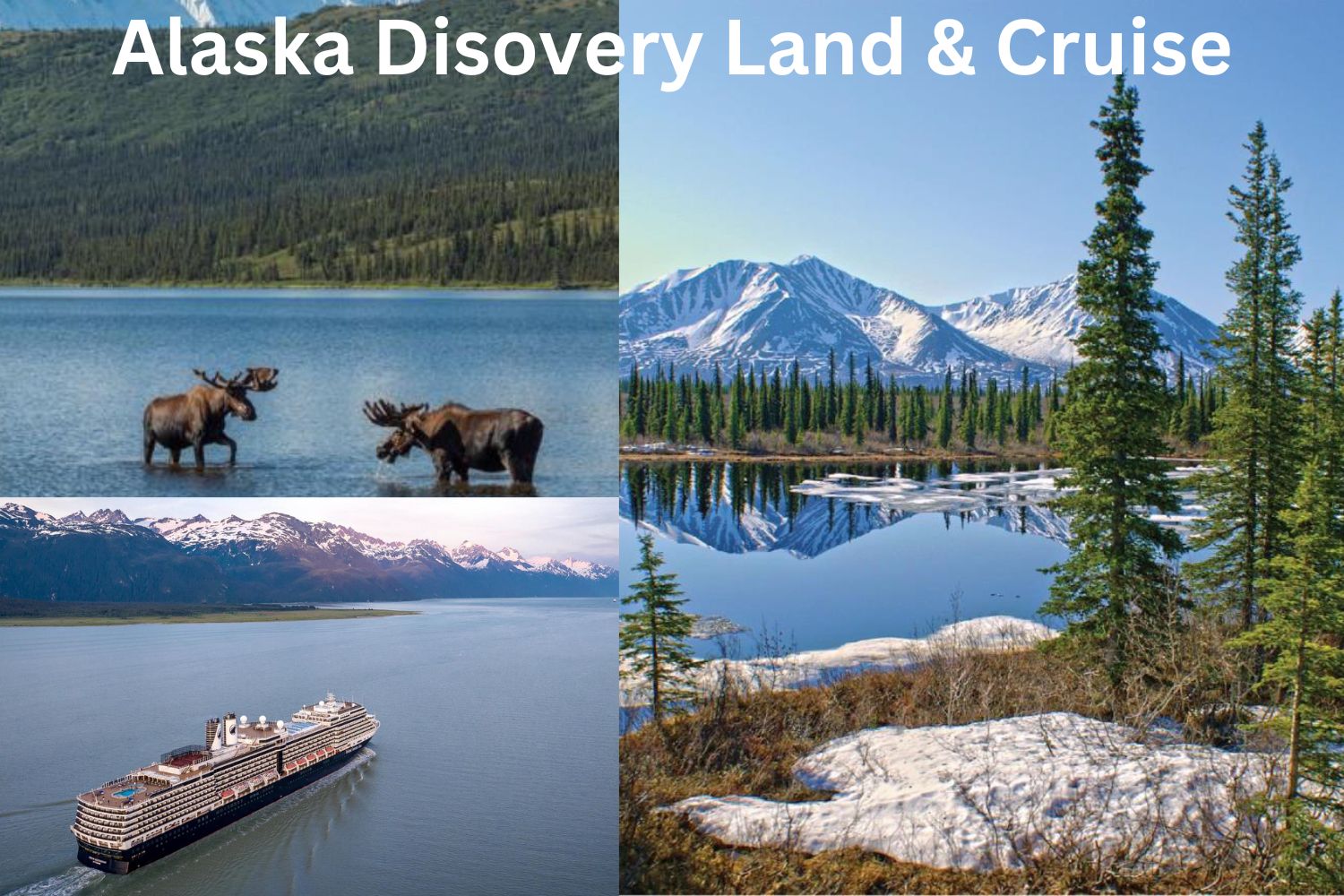Alaska Discovery Land & Cruise - July 2 - 13, 2025